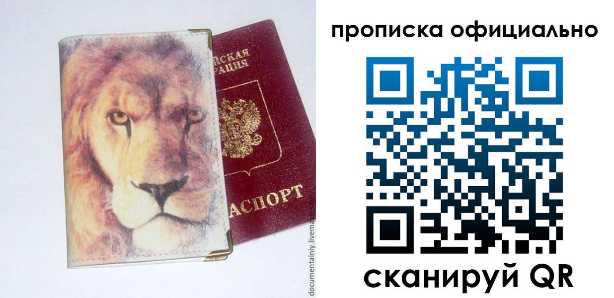 прописка 2025 в Камешково